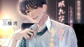 『院内SEの彼氏と、しんどい貴女が眠れない夜を過ごす話』夜明けのまぶた様